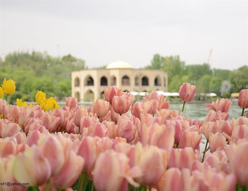 ( Iran tour 11 days and 10 nights )